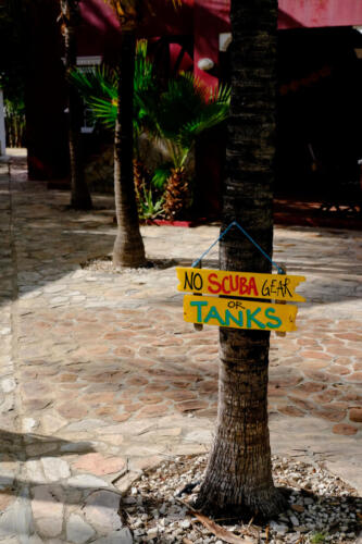 Although tempting, the use of dive gear in the pool is not allowed