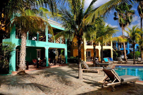 Villa Olivia: poolside